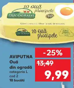 Kaufland AVIPUTNA Ouǎ din ogradă Ofertă