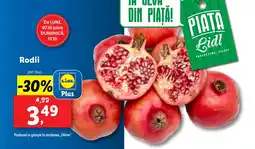 Lidl Rodii Ofertă