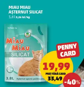 Penny MIAU MIAU Aşternut Silicat Ofertă