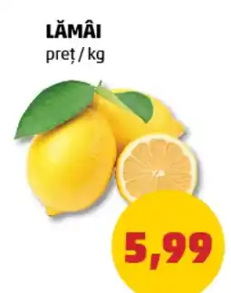Penny Lămâi Ofertă