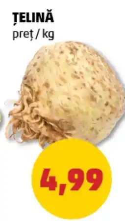 Penny Ţelină Ofertă