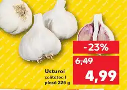 Kaufland Usturoi Ofertă