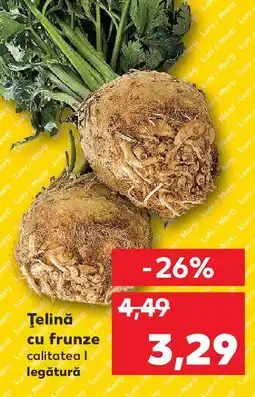 Kaufland Ţelină cu frunze Ofertă