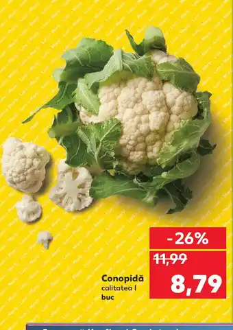 Kaufland Conopidă Ofertă