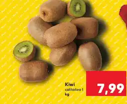 Kiwi