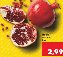 Kaufland Rodii Ofertă