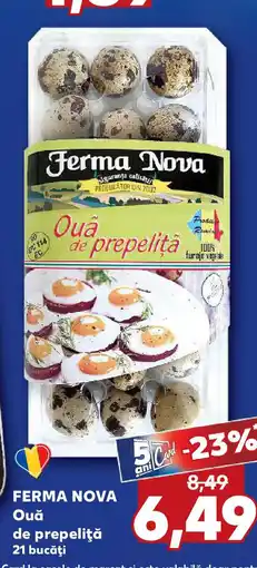 FERMA NOVA Ouǎ de prepeliţă