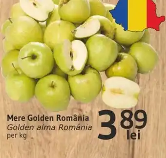 Supeco Mere Golden România Ofertă