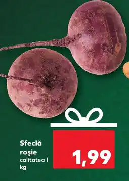 Kaufland Sfeclă roşie Ofertă