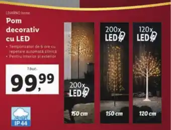 Lidl LIVARNO home Pom decorativ cu LED Ofertă