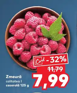 Kaufland Zmeură Ofertă