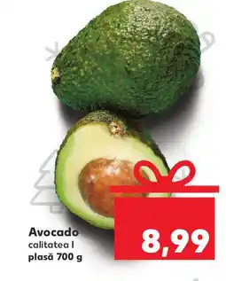 Kaufland Avocado Ofertă