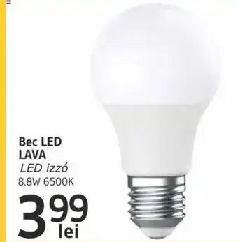 Supeco Bec LED LAVA Ofertă