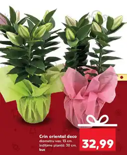 Kaufland Crin oriental deco Ofertă
