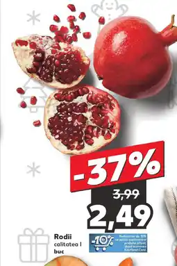 Kaufland Rodii Ofertă