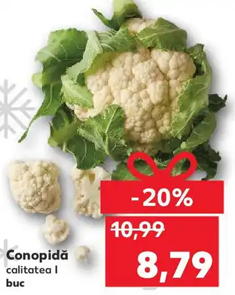 Kaufland Conopidă Ofertă