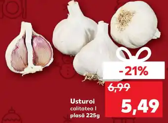 Kaufland Usturoi Ofertă