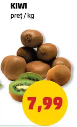 Kiwi