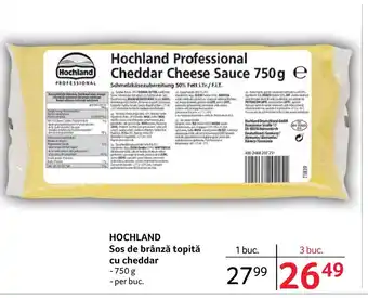 Selgros HOCHLAND Sos de brânză topită cu cheddar Ofertă