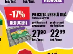 Auchan Puicuta veselă ouă Ofertă