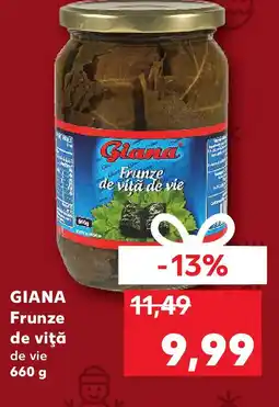 Kaufland GIANA Frunze de viţă de vie Ofertă