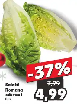 Kaufland Salată Romana Ofertă