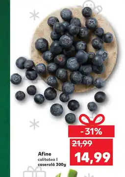 Kaufland Afine Ofertă