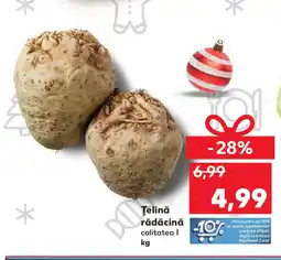 Kaufland Ţelină rădăcină Ofertă