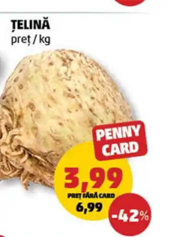 Penny Ţelină Ofertă