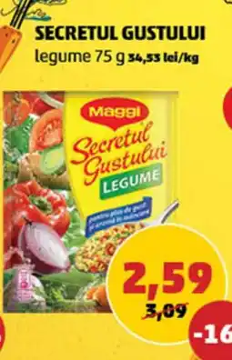 Penny MAGGI Secretul gustului Ofertă