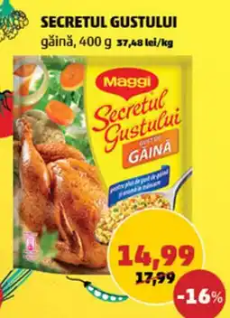 Penny MAGGI Secretul Gustului Ofertă