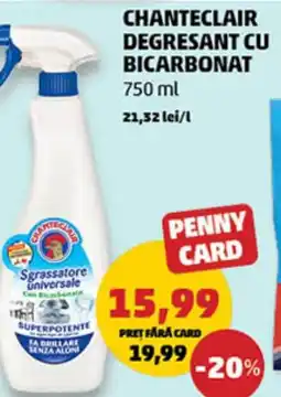 Penny CHANTECLAIR Degresant cu bicarbonat Ofertă