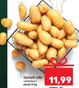 Kaufland Cartofi albi Ofertă