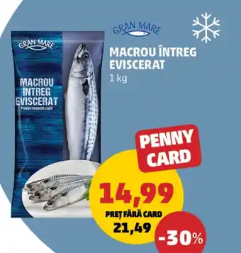 Penny GRAN MARE Macrou întreg eviscerat Ofertă