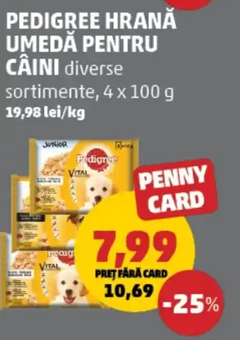 Penny PEDIGREE Hrană umedă pentru câini Ofertă