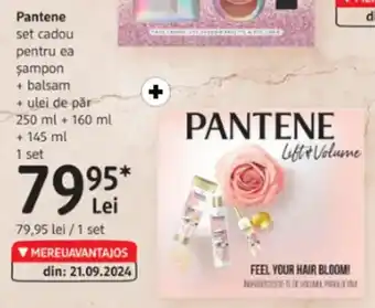 DM PANTENE Ofertă