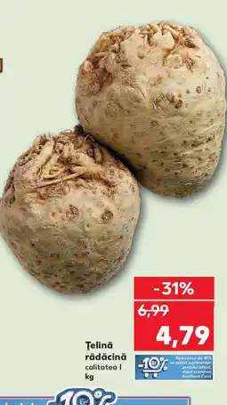 Kaufland Ţelină rădăcină Ofertă