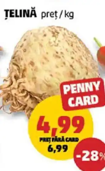 Penny Telină Ofertă