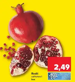 Kaufland Rodii calitatea | buc Ofertă