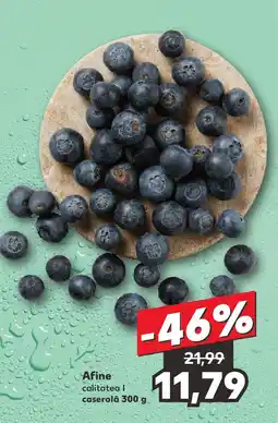 Kaufland Afine Ofertă