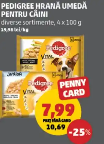 Penny PEDIGREE Hrană umedă pentru câini Ofertă