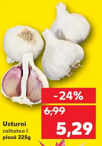 Kaufland Usturoi Ofertă