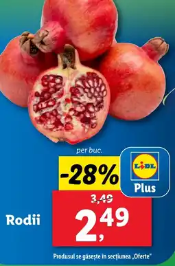 Lidl Rodii Ofertă