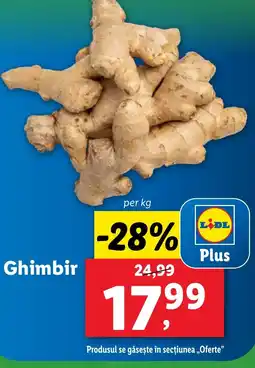 Lidl Ghimbir Ofertă