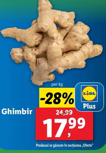 Lidl Ghimbir Ofertă