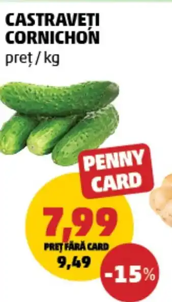 Penny Castraveti cornichon Ofertă