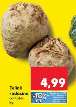 Kaufland Ţelină rădăcină Ofertă