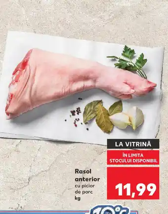 Kaufland Rasol anterior Ofertă