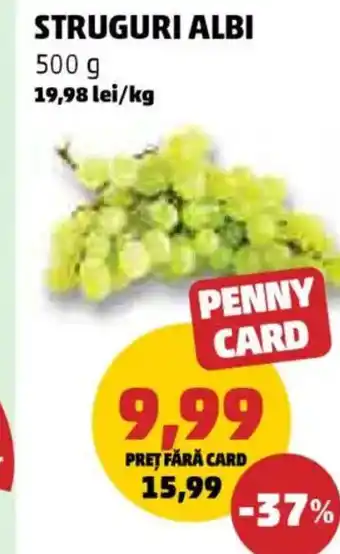 Penny Struguri albi Ofertă