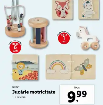 Lidl Jucărie motricitate Ofertă